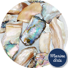 Craft Pack - Tumbled Golden Abalone - Pebbles